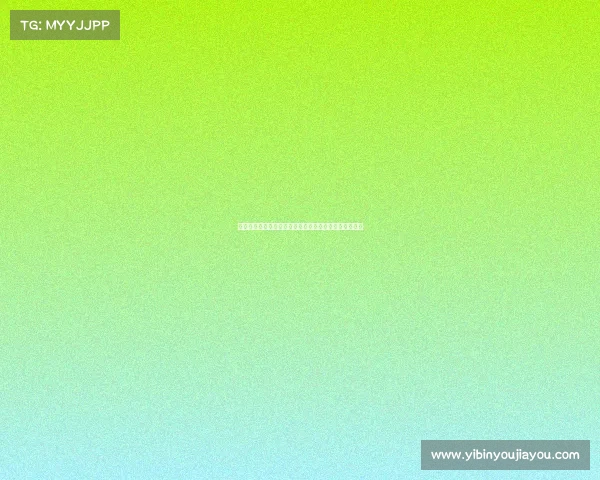 德甲球队战术风格解析：高压逼抢与快速反击的完美结合