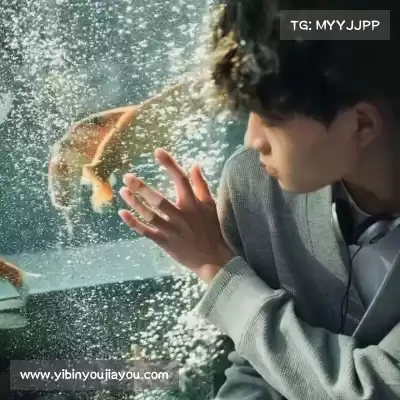 虞凡珣